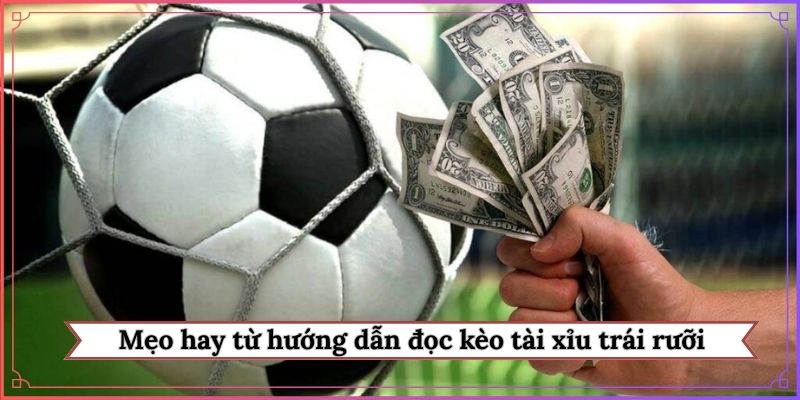 Mẹo hay từ hướng dẫn đọc kèo tài xỉu trái rưỡi